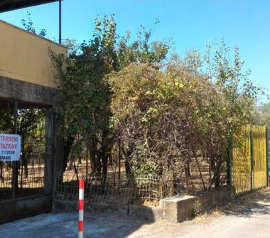 Bilocale in vendita a Montecorvino Rovella (Salerno)