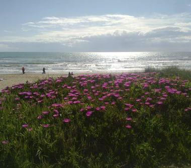 Quadrilocale in vendita a Pomezia, Frazione Torvaianica