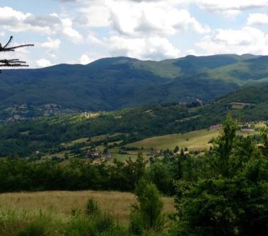 Porzione di casa in vendita a Albareto, Frazione Codogno