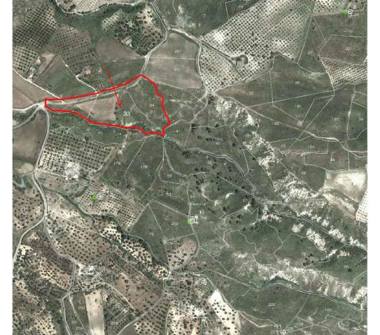 Terreno Agricolo/Coltura in vendita a Cassano all'Ionio (Cosenza)