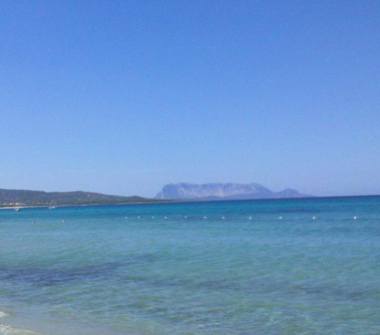 Affitto Villetta a schiera Vacanze a Budoni, Frazione Muriscuvò