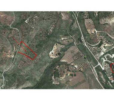 Terreno Agricolo/Coltura in vendita a Cassano all'Ionio (Cosenza)