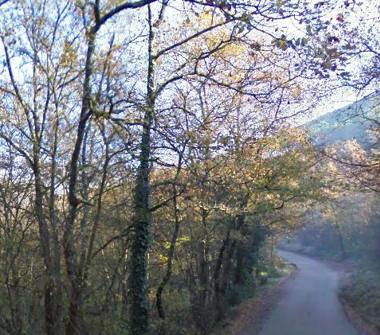Terreno Agricolo/Coltura in vendita a Esperia (Frosinone)