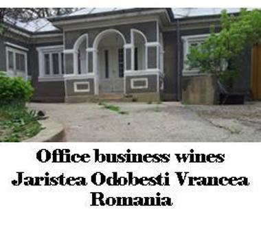 Casa indipendente in vendita a Odolo (Brescia)