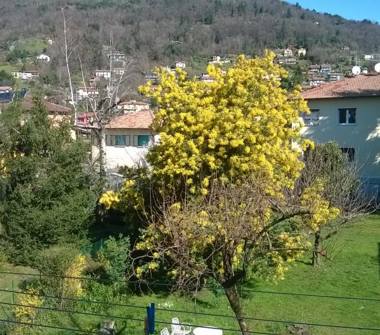 Quadrilocale in vendita a Verbania, Frazione Pallanza