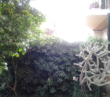 Affitto Appartamento Vacanze a Cervo (Imperia)