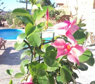 Offerta Vacanze Bed & Breakfast a Budoni, Frazione Malamurì