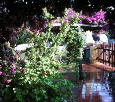 Affitto Appartamento Vacanze a San Teodoro (Sassari)