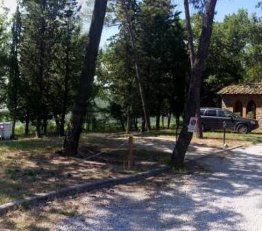 Offerta Vacanze Agriturismo a Greve in Chianti, Frazione Panzano In Chianti