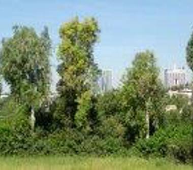 Appartamento in vendita a Roma, Zona Laurentina