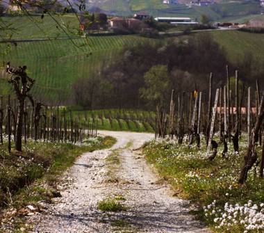 Terreno Edificabile Residenziale in vendita a Montecalvo Versiggia (Pavia)