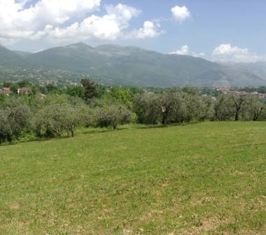 Altro in vendita a Castelliri (Frosinone)