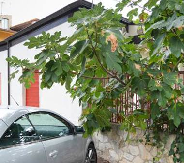 Villa in vendita a Cosenza (Cosenza)