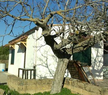 Casa indipendente in vendita a Cianciana (Agrigento)