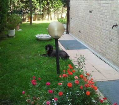 Trilocale in vendita a Caponago (Monza e Brianza)