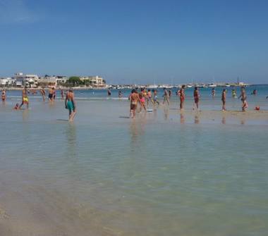 Affitto Appartamento Vacanze a Fasano, Frazione Torre Canne