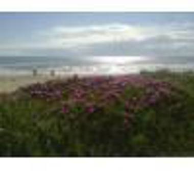 Quadrilocale in vendita a Pomezia, Frazione Torvaianica