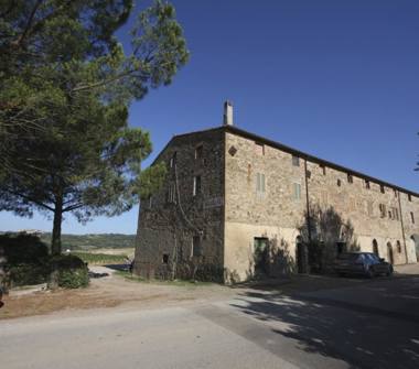 Terreno Agricolo/Coltura in vendita a Campagnatico (Grosseto)
