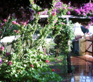 Affitto Appartamento Vacanze a San Teodoro (Sassari)