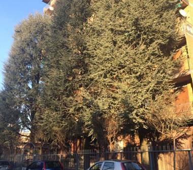 Trilocale in vendita a Lissone (Monza e Brianza)