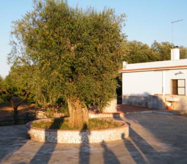 Affitto Villa Vacanze a San Vito dei Normanni (Brindisi)