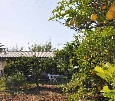 Affitto Casa Vacanze a Orosei (Nuoro)