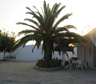 Affitto Appartamento Vacanze a Manduria (Taranto)