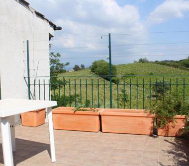 Monolocale in affitto a Frascati (Roma)