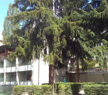 Bilocale in affitto a Bardonecchia (Torino)