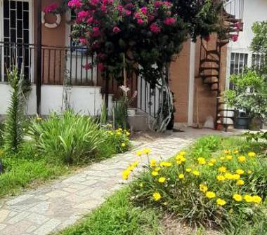 Affitto Casa Vacanze a Pomezia, Frazione Torvaianica