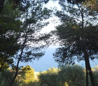 Affitto Appartamento Vacanze a Montegiordano, Frazione Montegiordano Marina