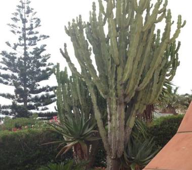 Villa in vendita a Noto, Frazione San Lorenzo