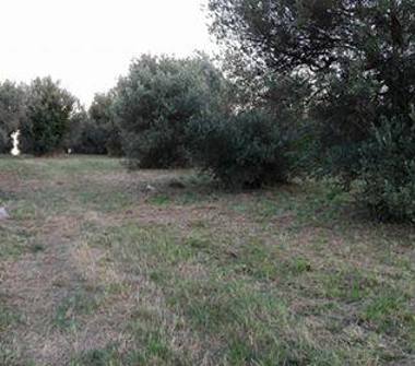 Altro in vendita a Treglio, Frazione Contrada San Martino