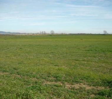 Terreno Agricolo/Coltura in vendita a Villafranca Padovana, Frazione Taggi Di Sotto