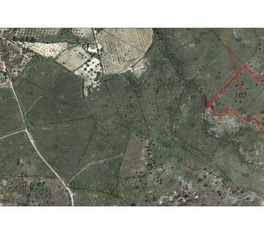 Terreno Agricolo/Coltura in vendita a Cassano all'Ionio, Frazione Sibari