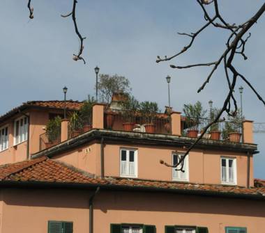 Affitto Appartamento Vacanze a Lucca, Zona Centro Storico