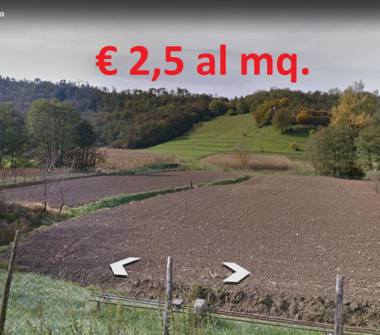 Terreno Agricolo/Coltura in vendita a Pontida (Bergamo)
