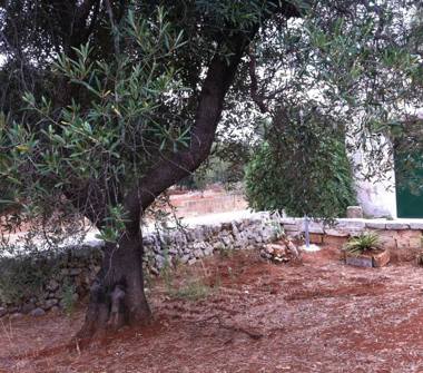 Baita/Chalet/Trullo in vendita a Carovigno, Frazione Specchiolla