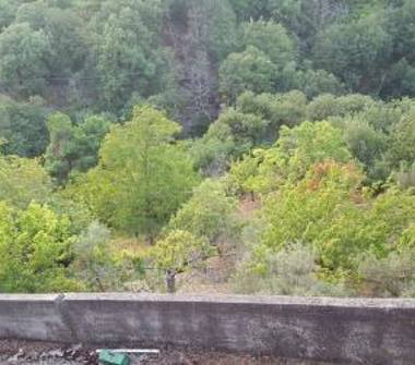 Casa indipendente in vendita a Palermiti (Catanzaro)